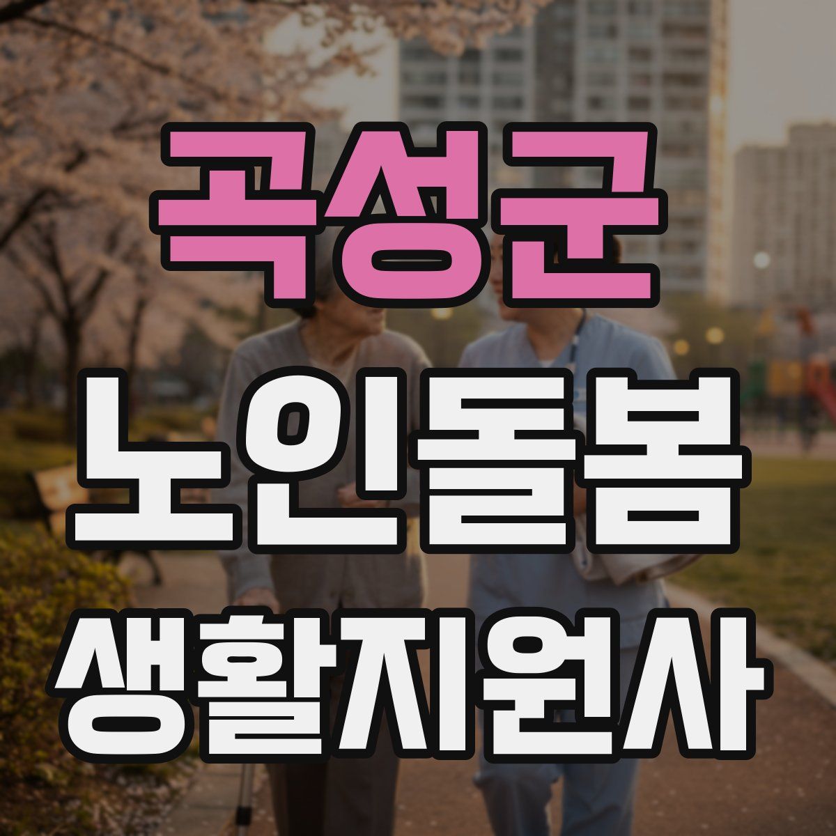 곡성군 노인돌봄생활지원사 자격증