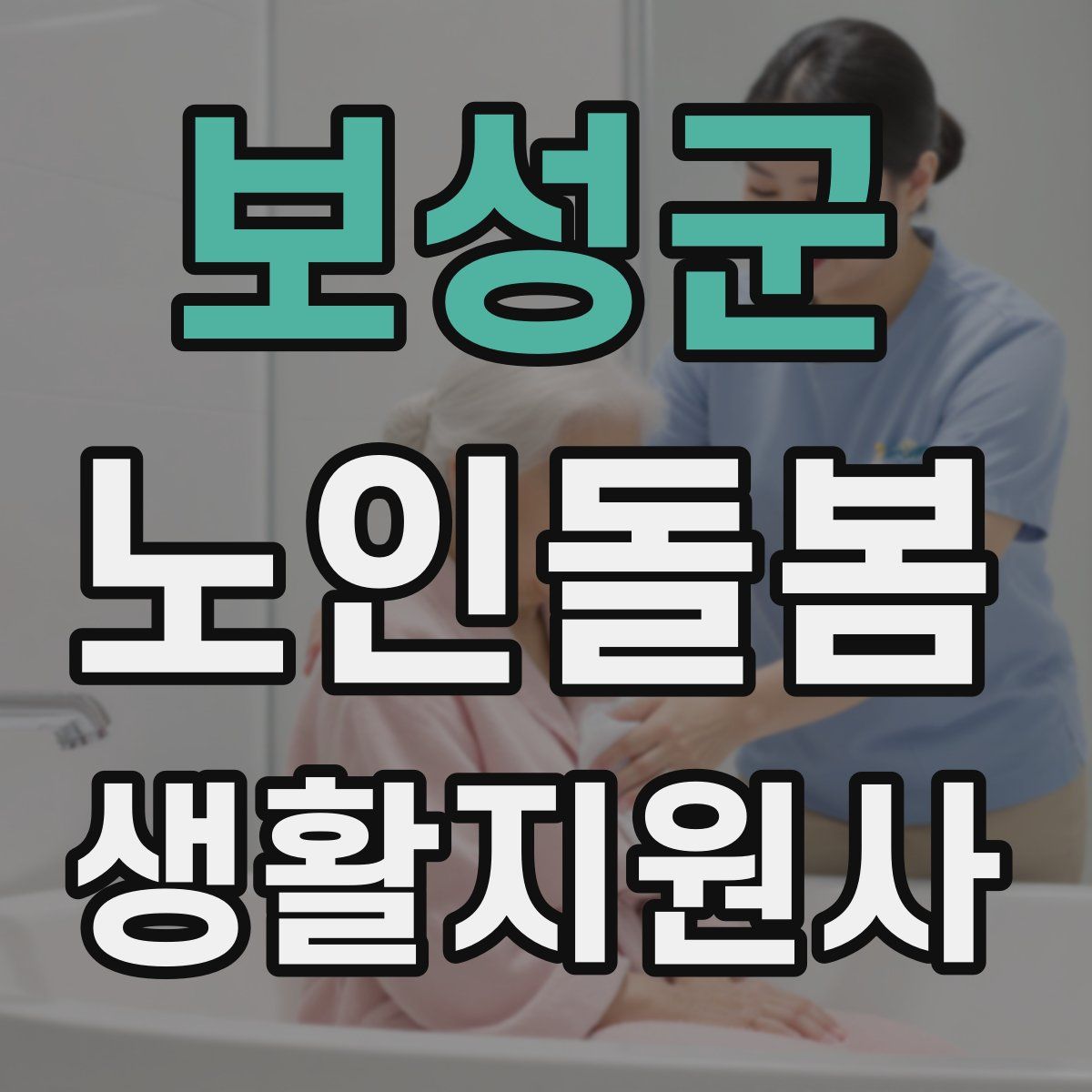 보성군 노인돌봄생활지원사 자격증