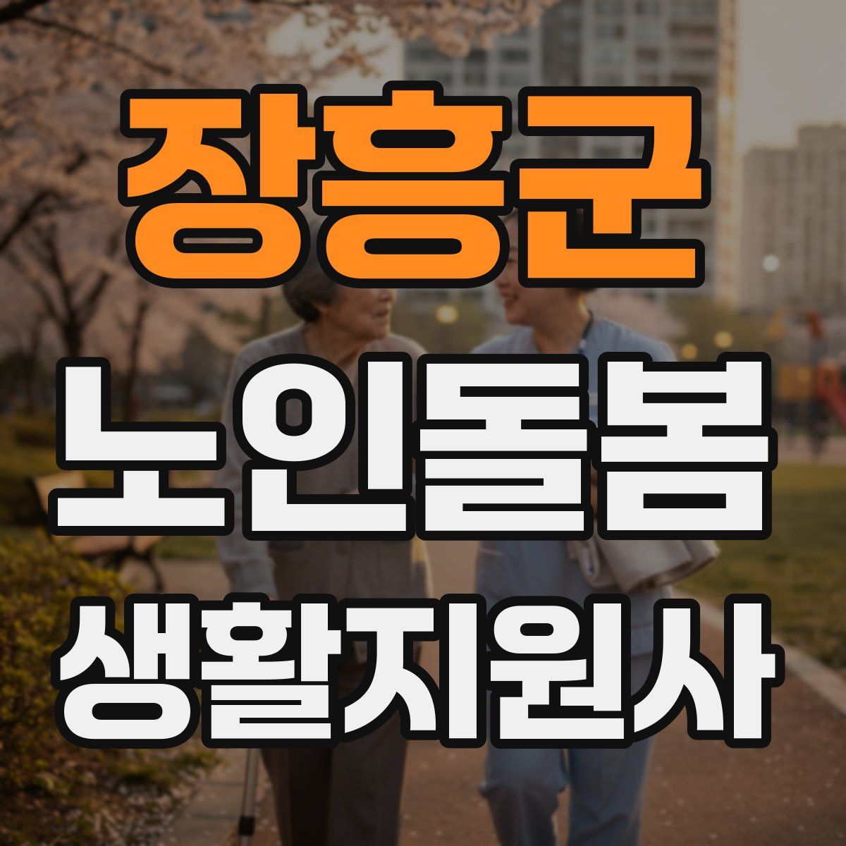 장흥군 노인돌봄생활지원사 자격증