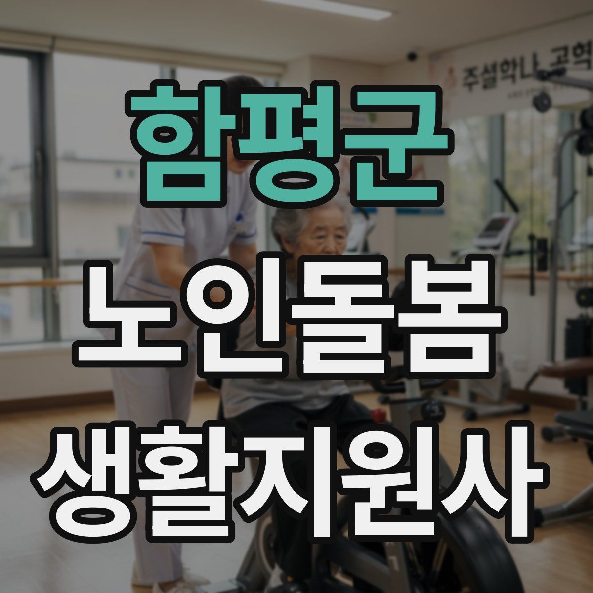 함평군 노인돌봄생활지원사 자격증