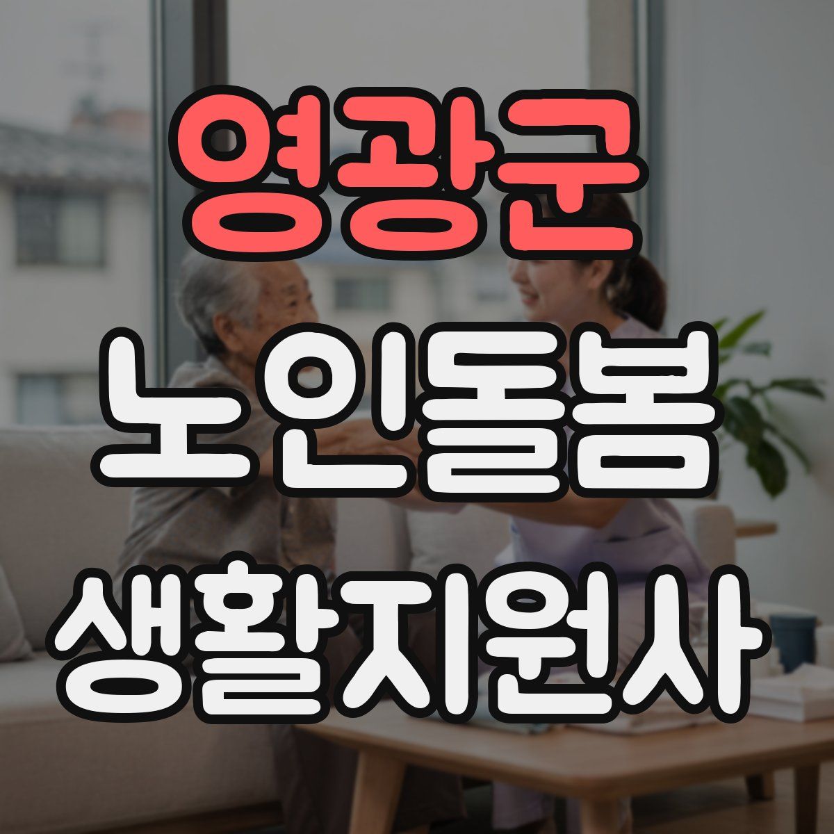 영광군 노인돌봄생활지원사 자격증