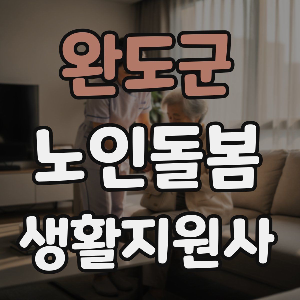 완도군 노인돌봄생활지원사 자격증