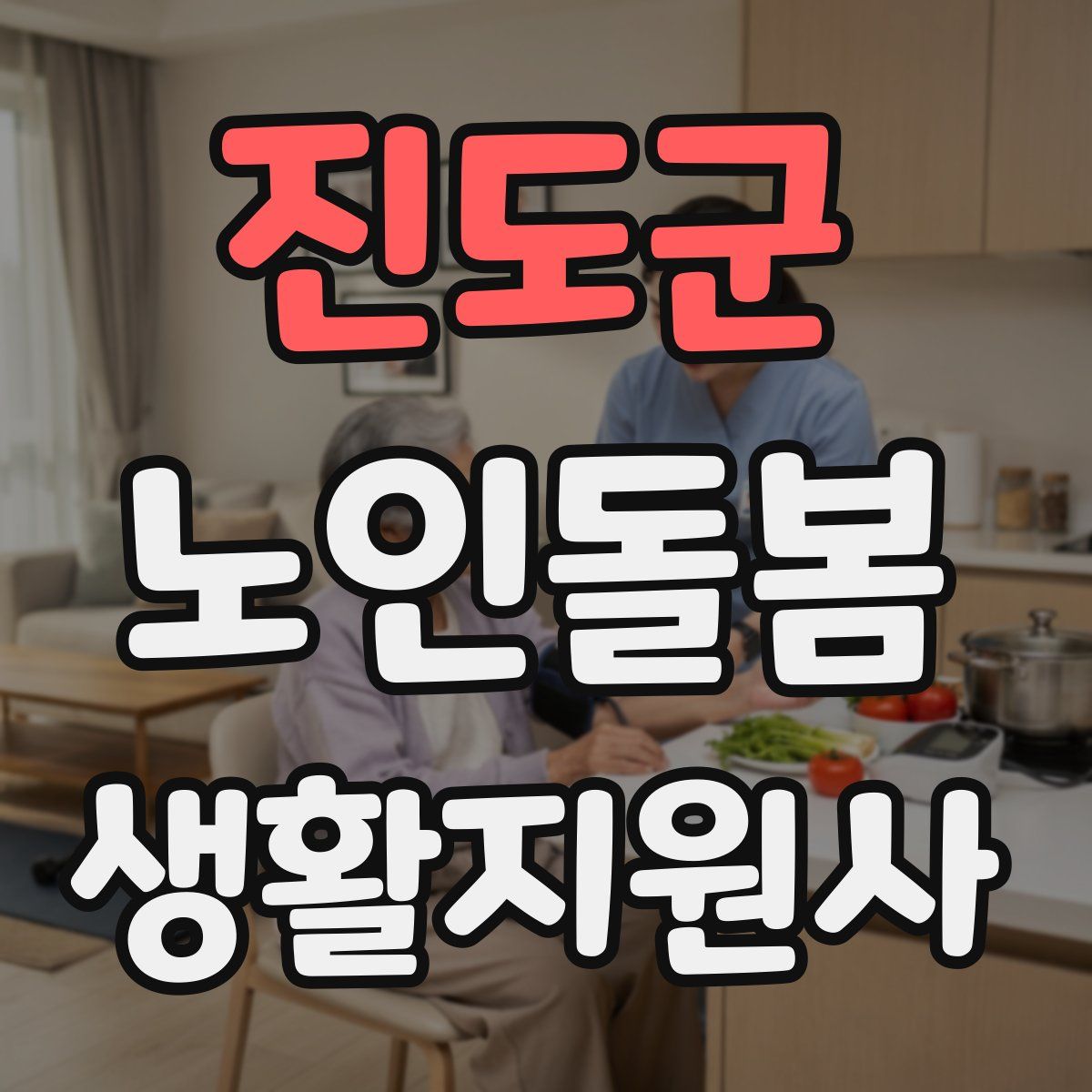 진도군 노인돌봄생활지원사 자격증