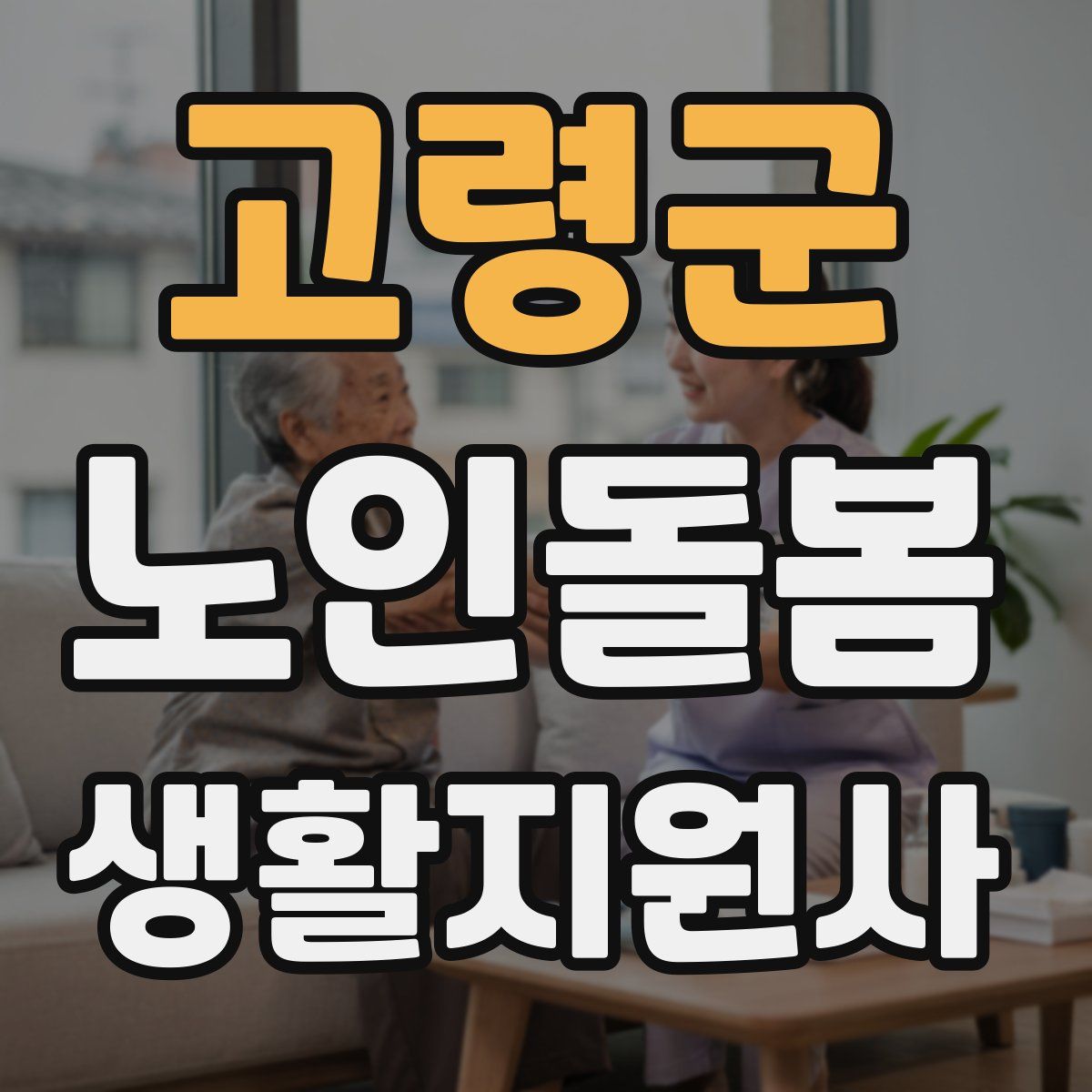 고령군 노인돌봄생활지원사 자격증