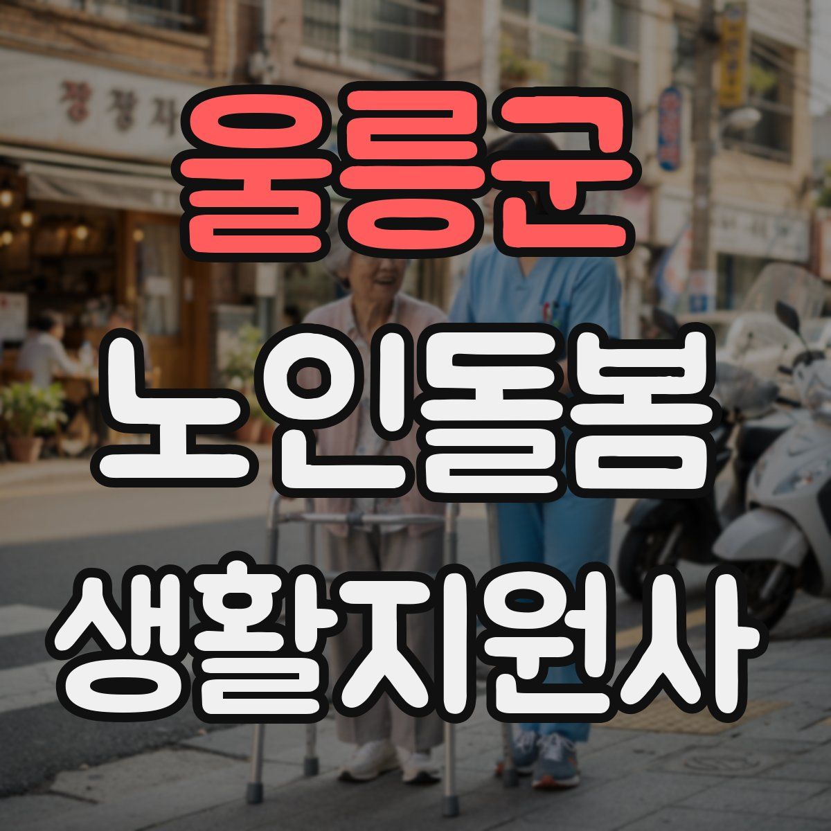 울릉군 노인돌봄생활지원사 자격증