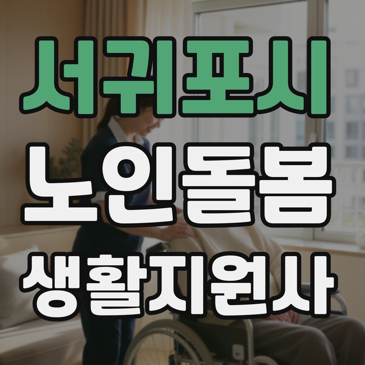 서귀포시 노인돌봄생활지원사 자격증