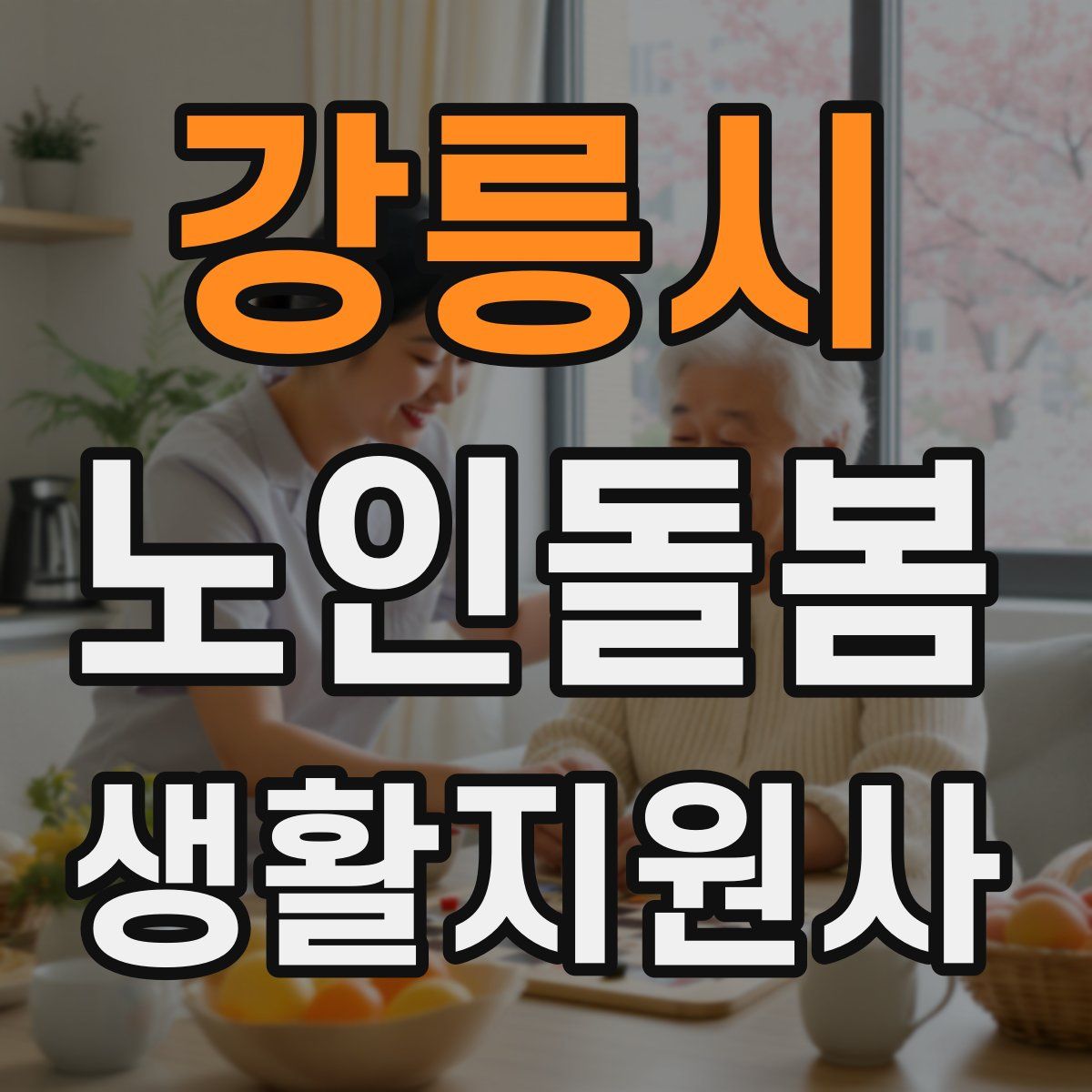 강릉시 노인돌봄생활지원사 자격증
