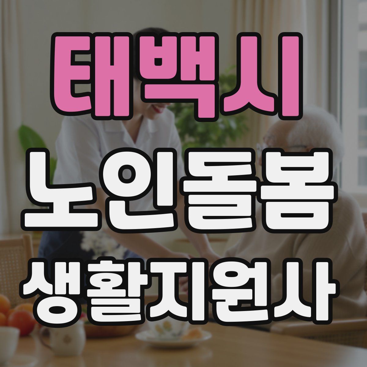 태백시 노인돌봄생활지원사 자격증