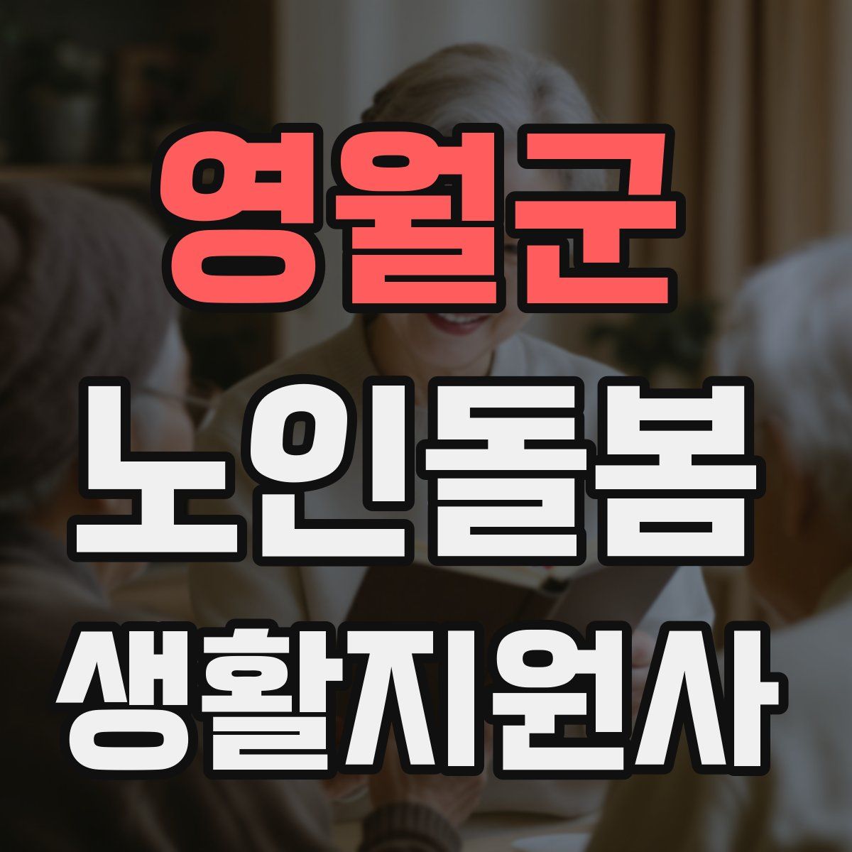 영월군 노인돌봄생활지원사 자격증