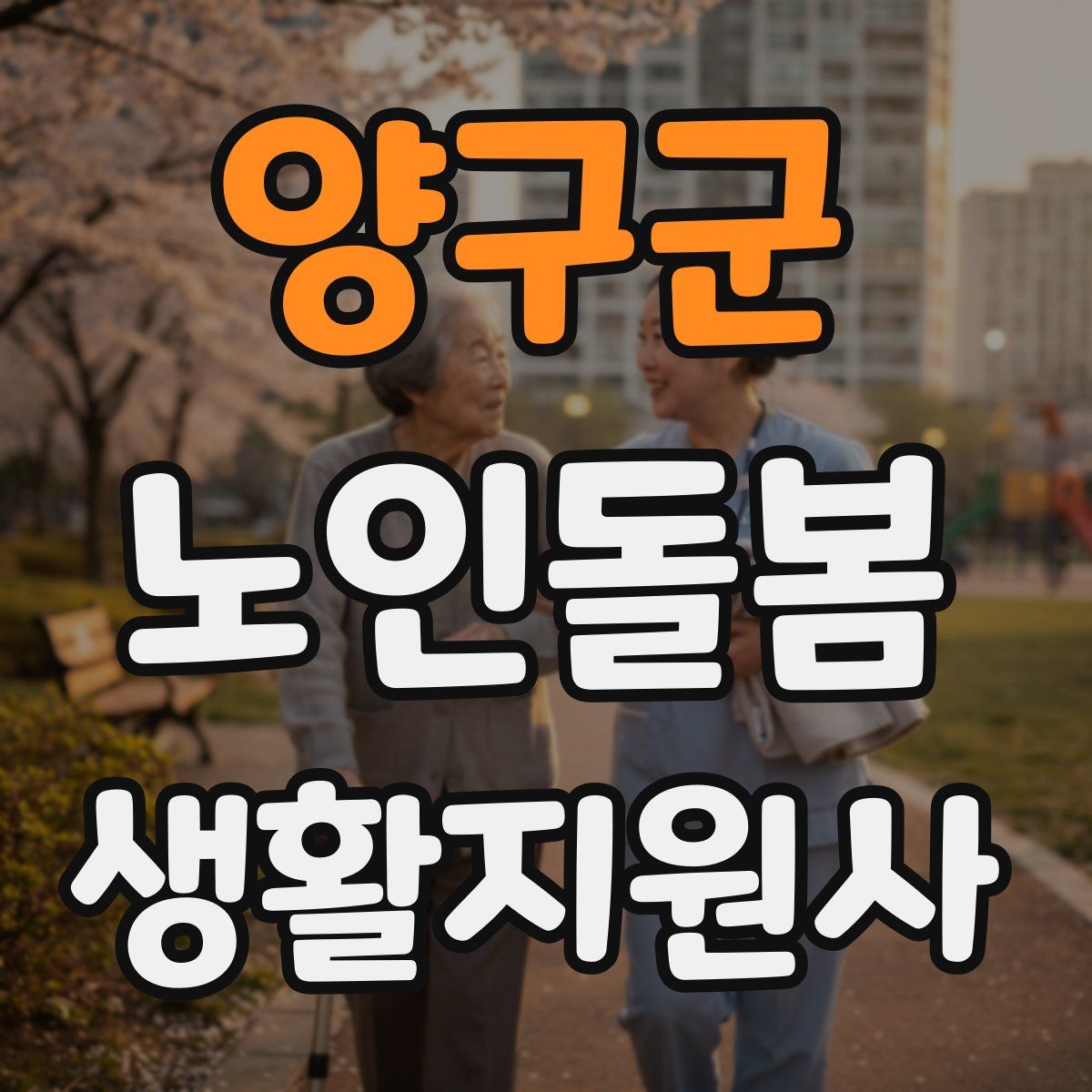 양구군 노인돌봄생활지원사 자격증