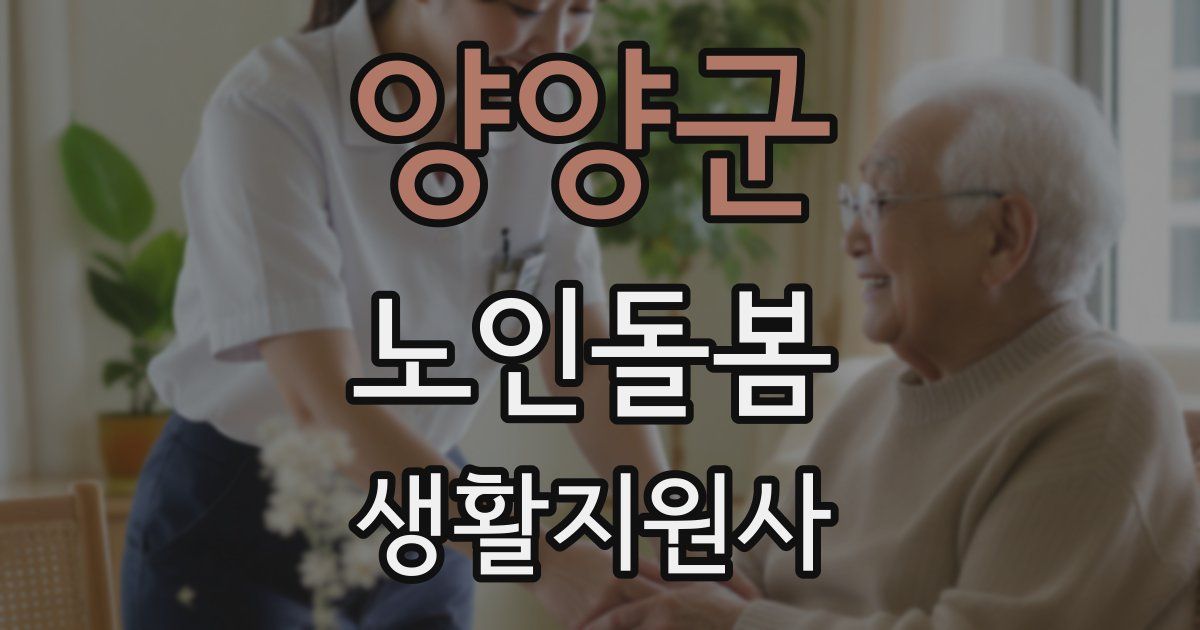 양양군 노인돌봄생활지원사 자격증