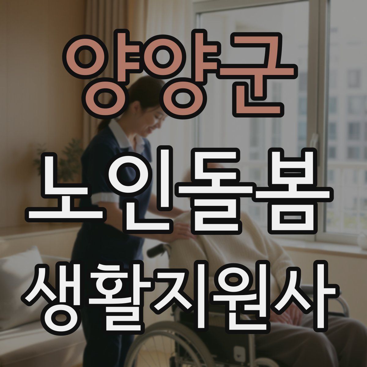 양양군 노인돌봄생활지원사 자격증