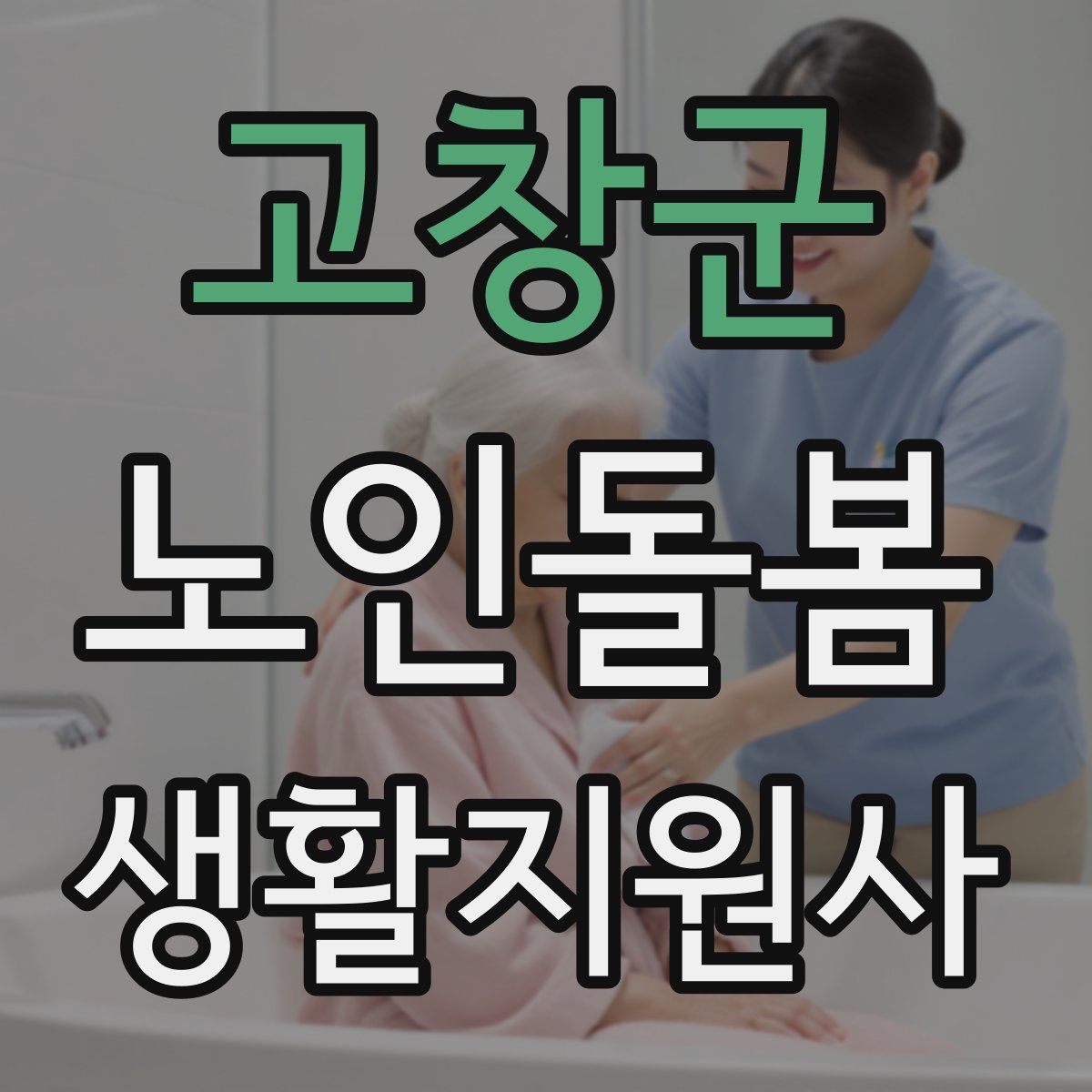 고창군 노인돌봄생활지원사 자격증