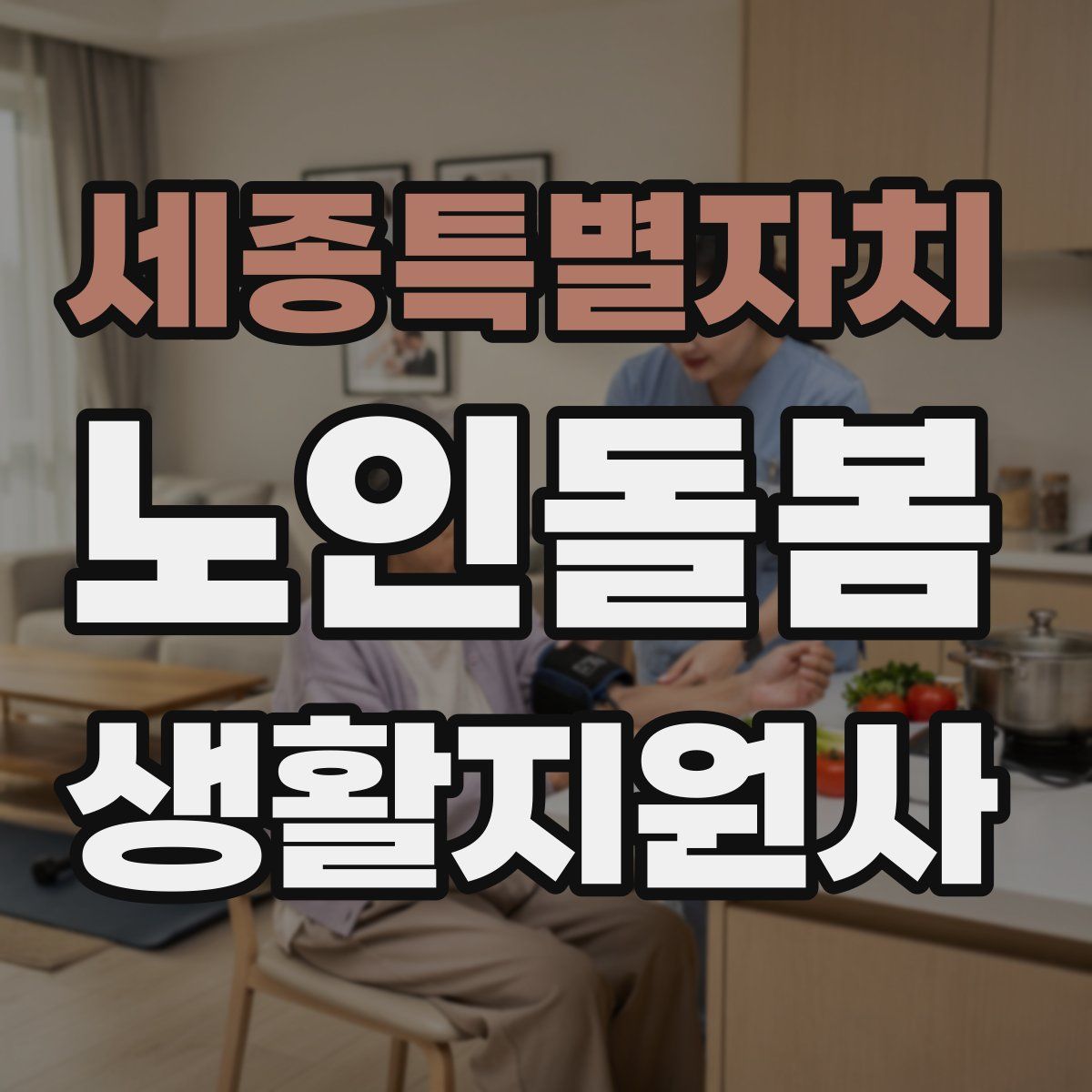 세종특별자치 노인돌봄생활지원사 자격증