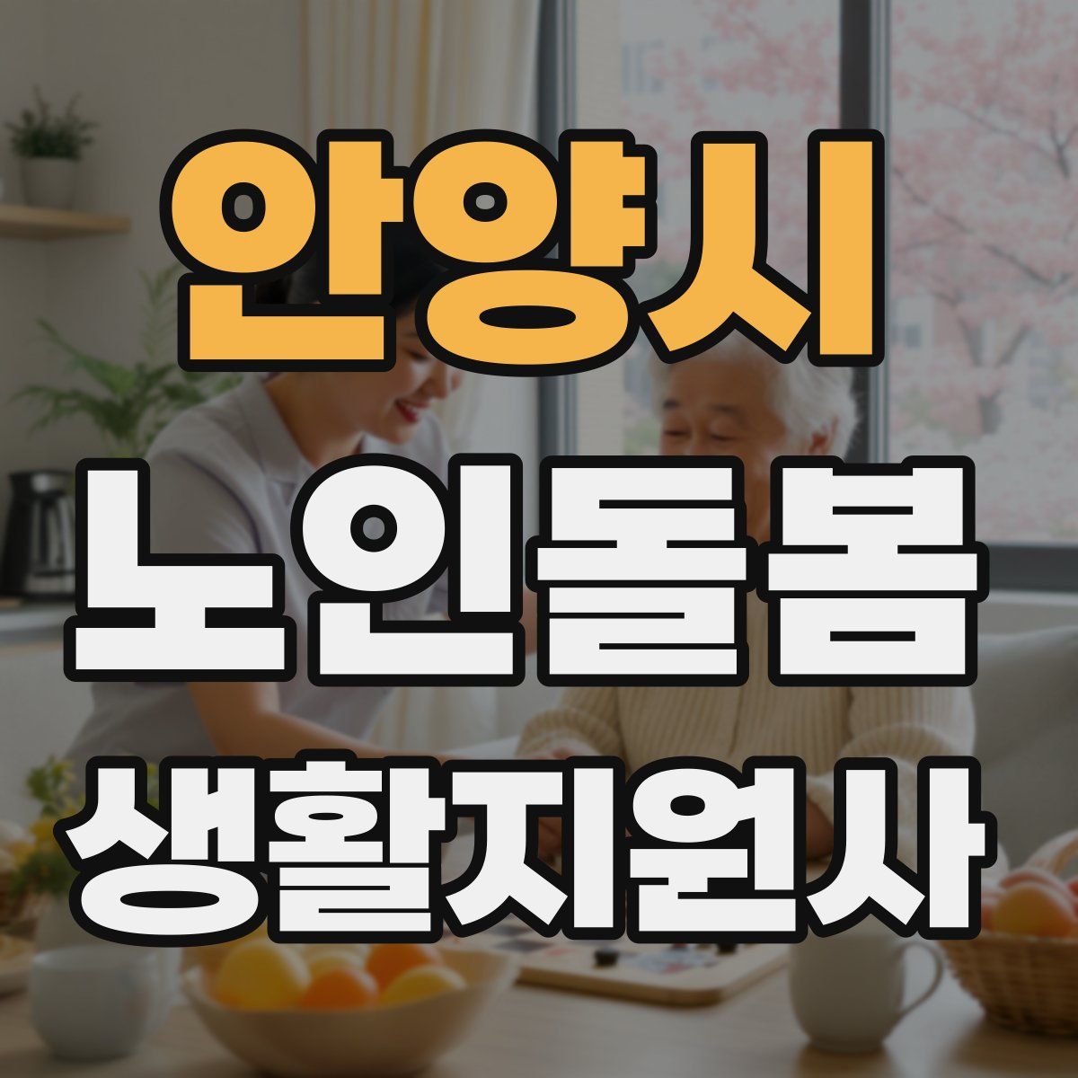 안양시 노인돌봄생활지원사 자격증