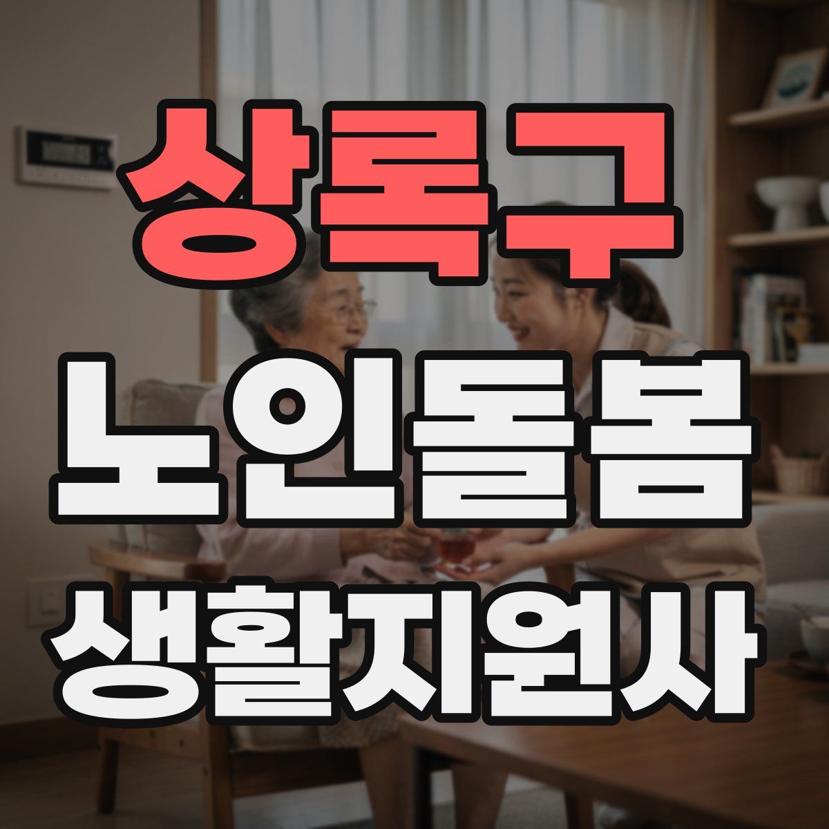 상록구 노인돌봄생활지원사 자격증