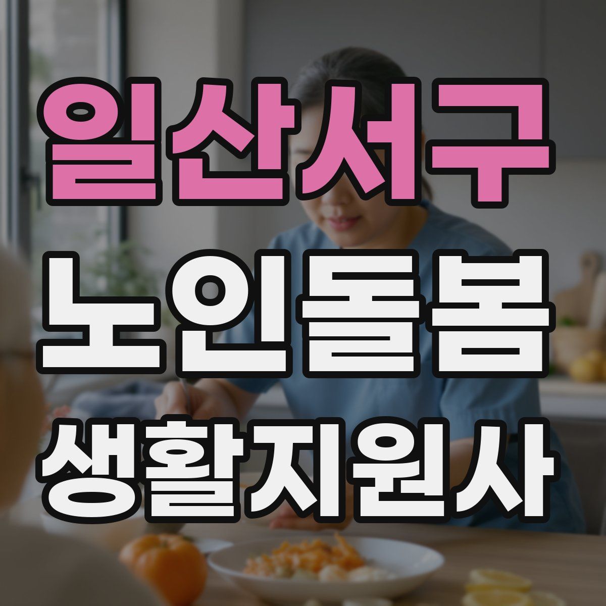 일산서구 노인돌봄생활지원사 자격증