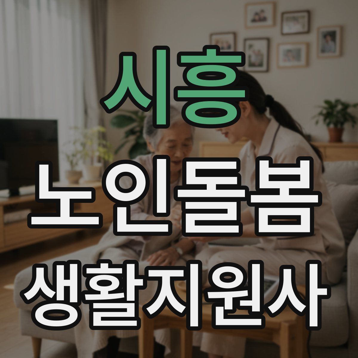 시흥 노인돌봄생활지원사 자격증