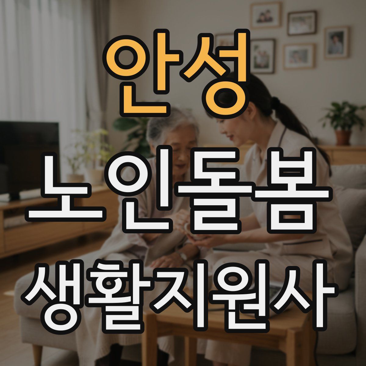안성 노인돌봄생활지원사 자격증