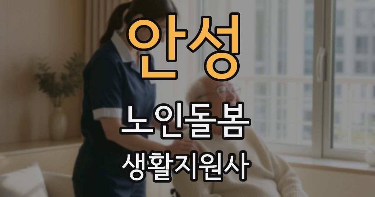 안성 노인돌봄생활지원사 자격증