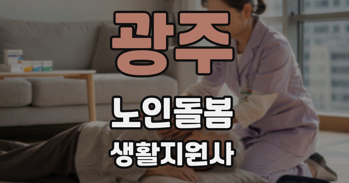 광주 노인돌봄생활지원사 자격증