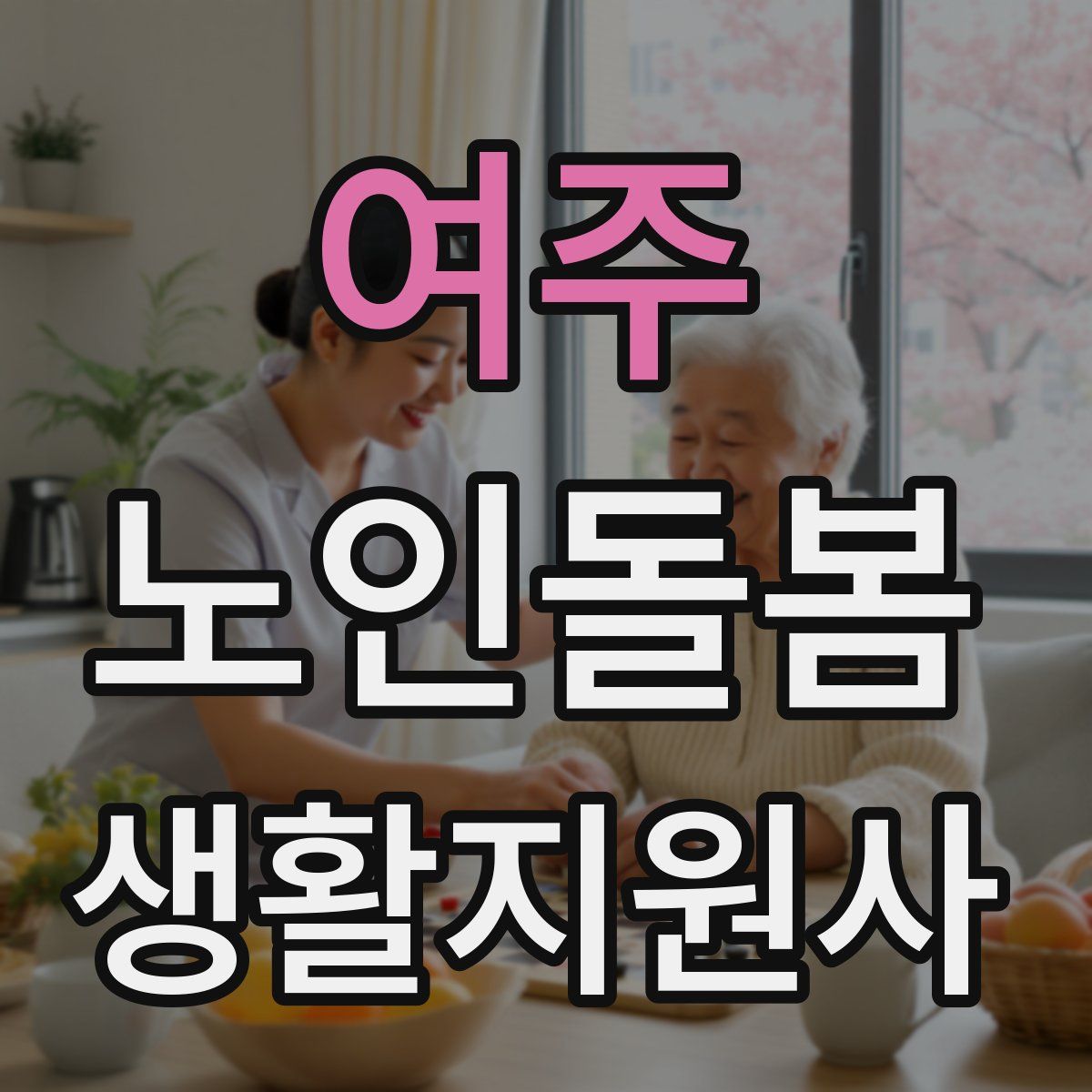 여주 노인돌봄생활지원사 자격증