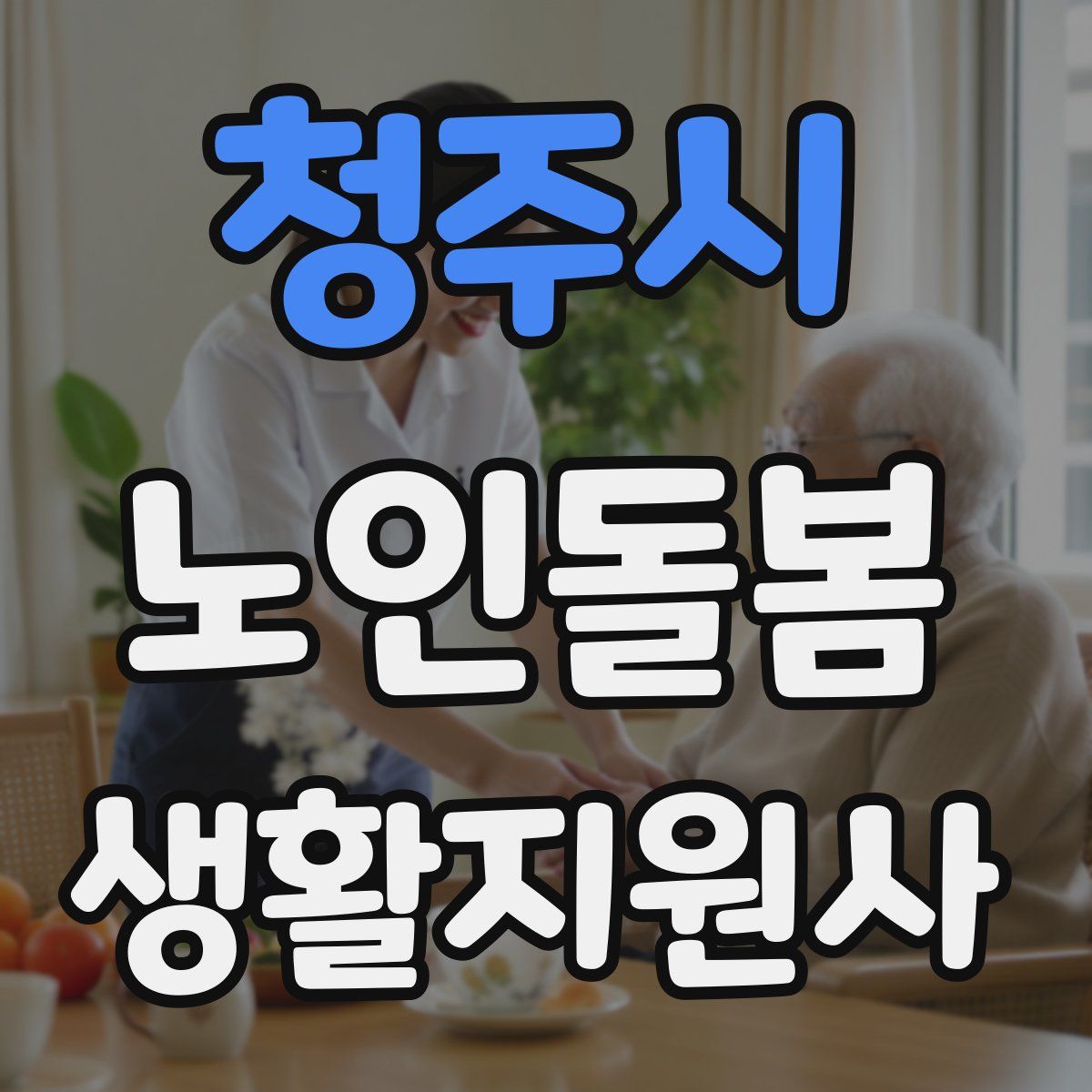 청주시 노인돌봄생활지원사 자격증