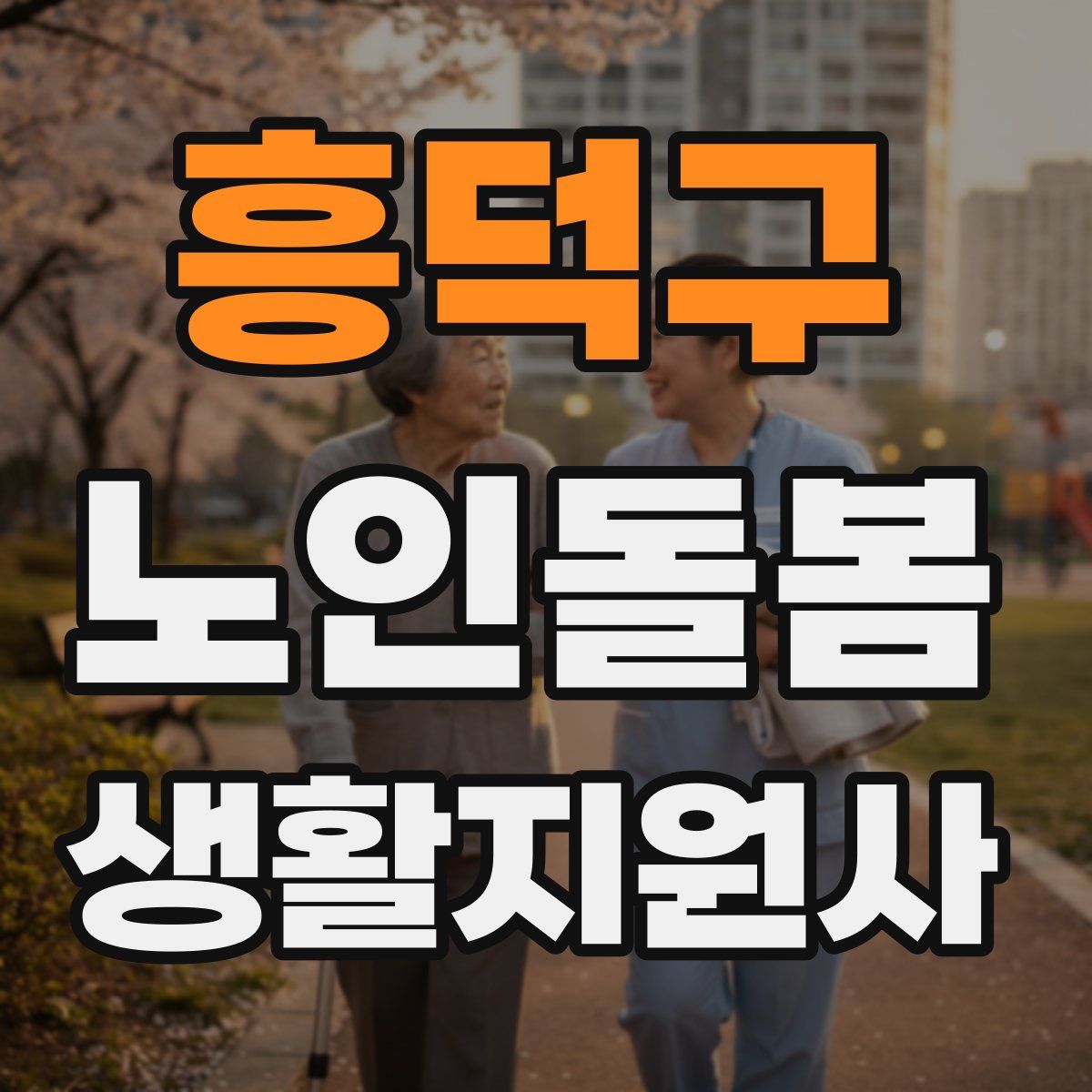 흥덕구 노인돌봄생활지원사 자격증