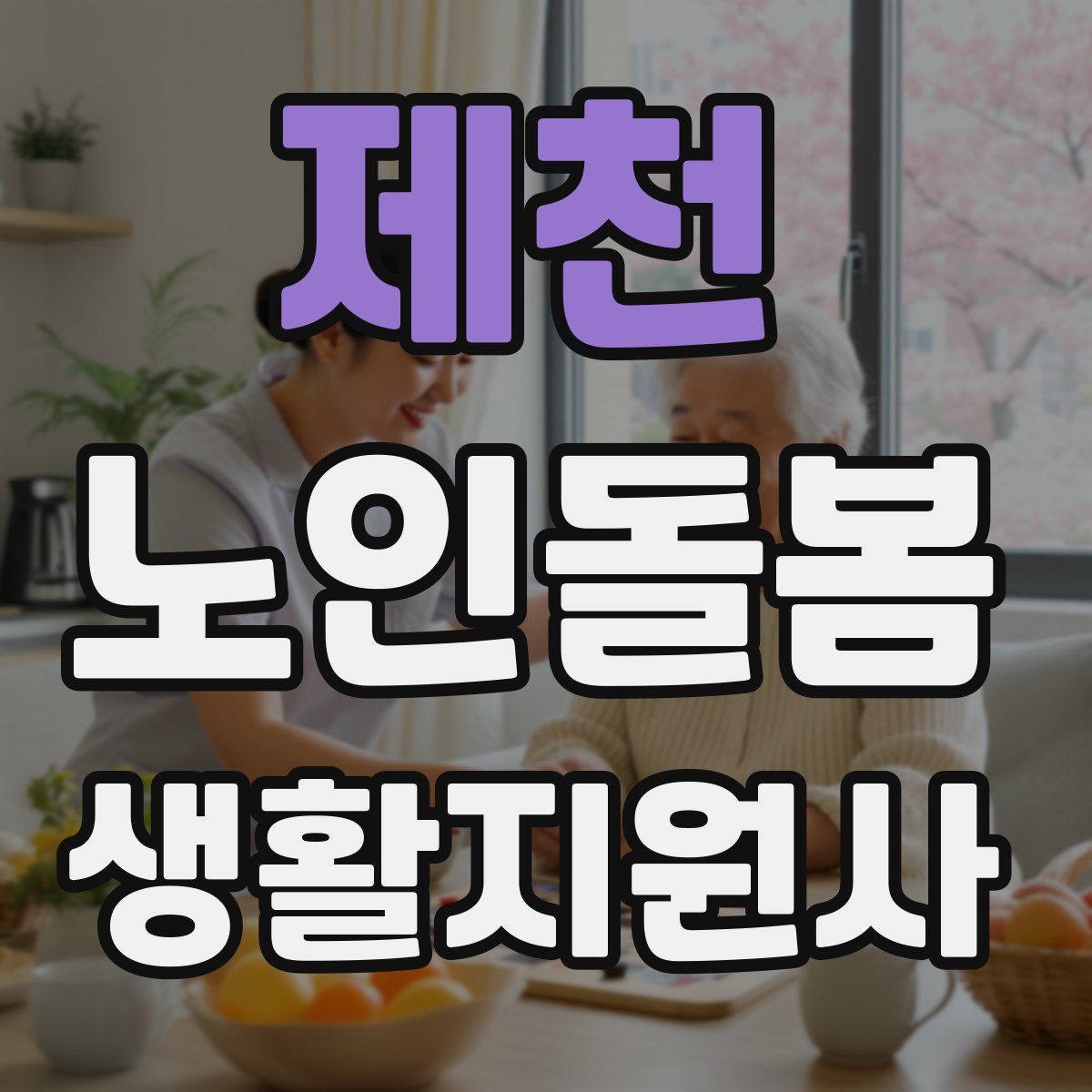 제천 노인돌봄생활지원사 자격증