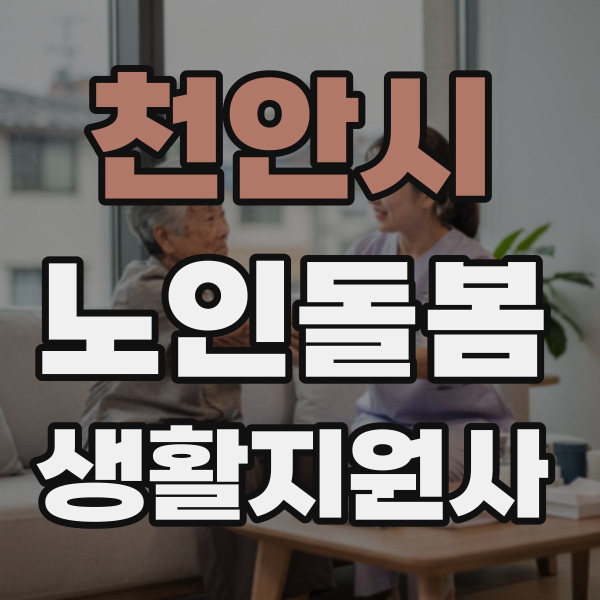 천안시 노인돌봄생활지원사 자격증