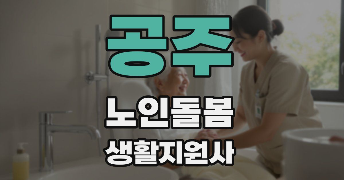 공주 노인돌봄생활지원사 자격증