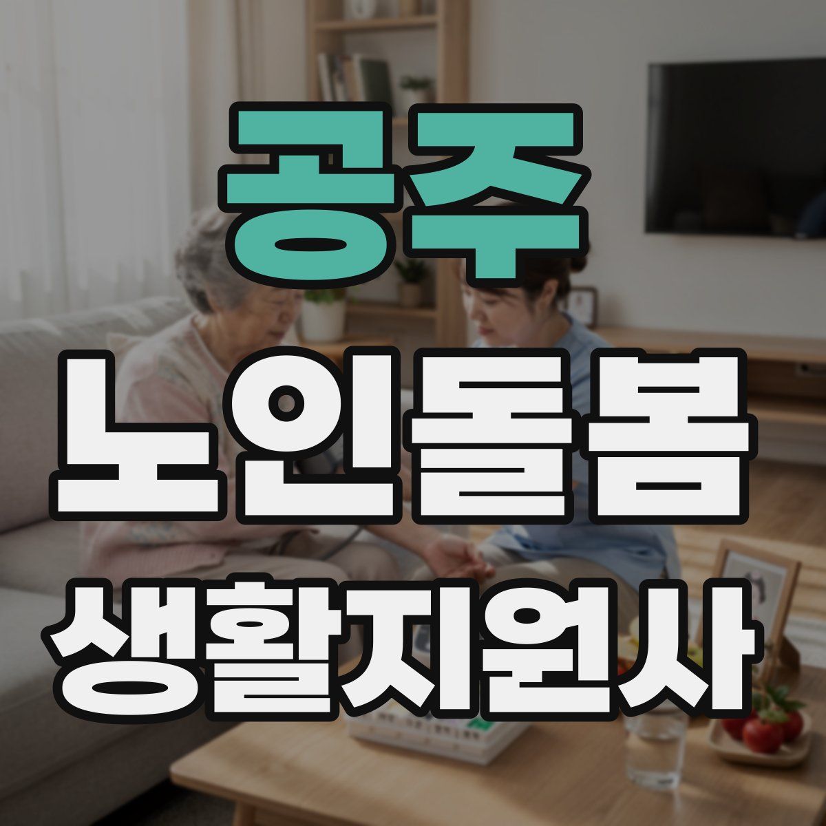 공주 노인돌봄생활지원사 자격증