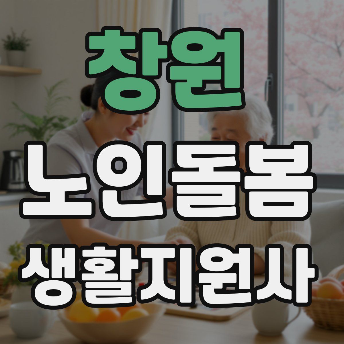 창원 노인돌봄생활지원사 자격증