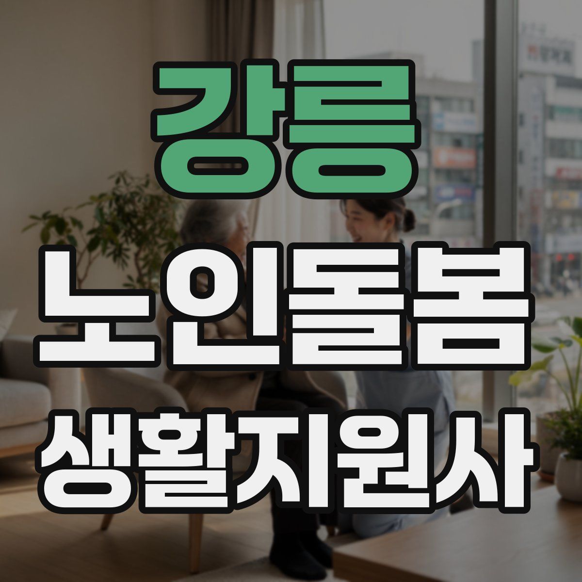 강릉 노인돌봄생활지원사 자격증