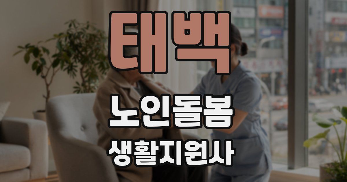 태백 노인돌봄생활지원사 자격증