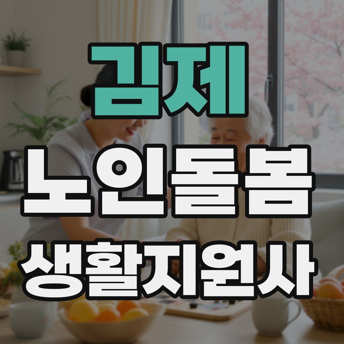 김제 노인돌봄생활지원사 자격증