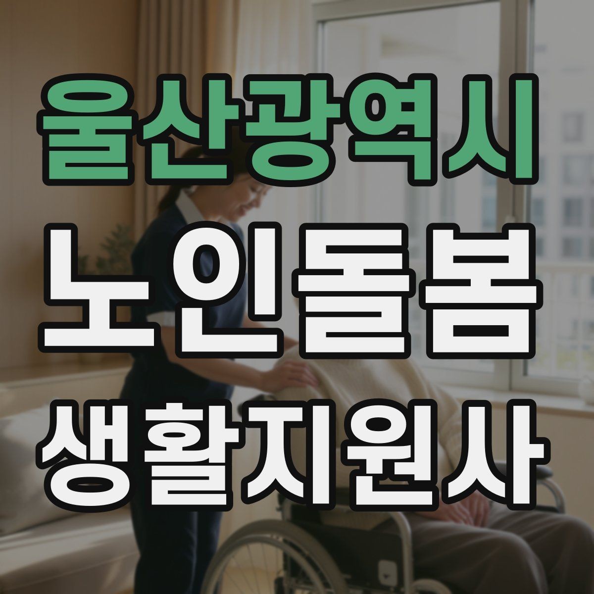 울산광역시 노인돌봄생활지원사 자격증 문 열기 신발 벗기 같은 일상 보조 팁