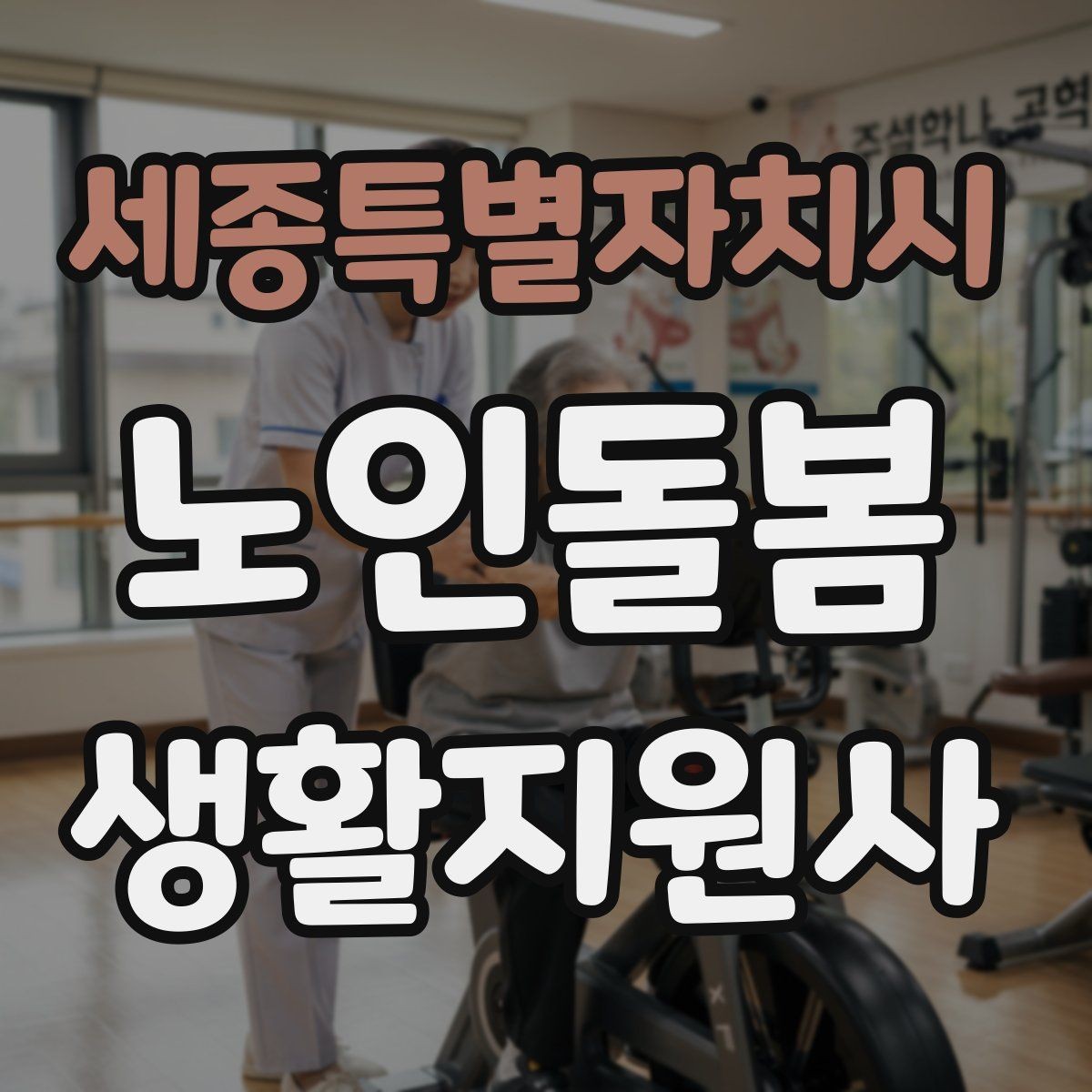 세종특별자치시 노인돌봄생활지원사 자격증 외로움을 줄이는 말벗 활동 팁