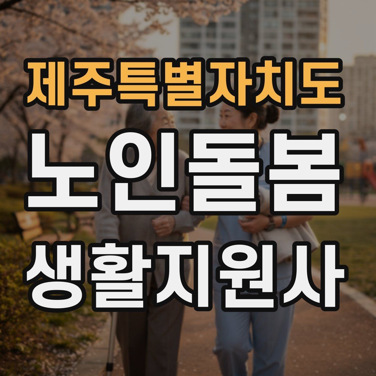 제주특별자치도 노인돌봄생활지원사 자격증 용어 정리로 공부 효율 올리는 방법
