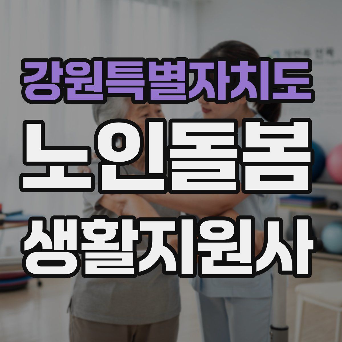 강원특별자치도 노인돌봄생활지원사 자격증