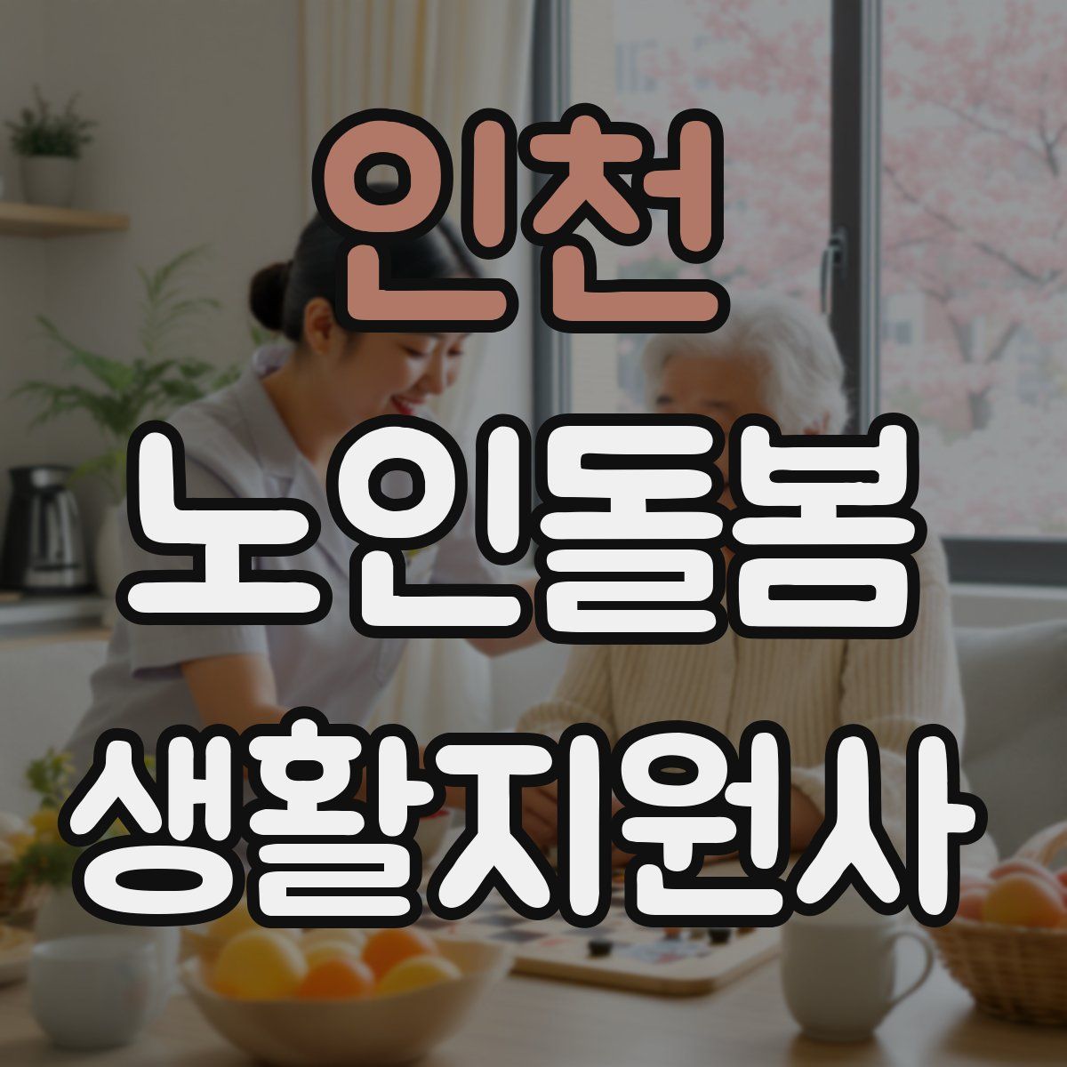 인천 노인돌봄생활지원사 자격증