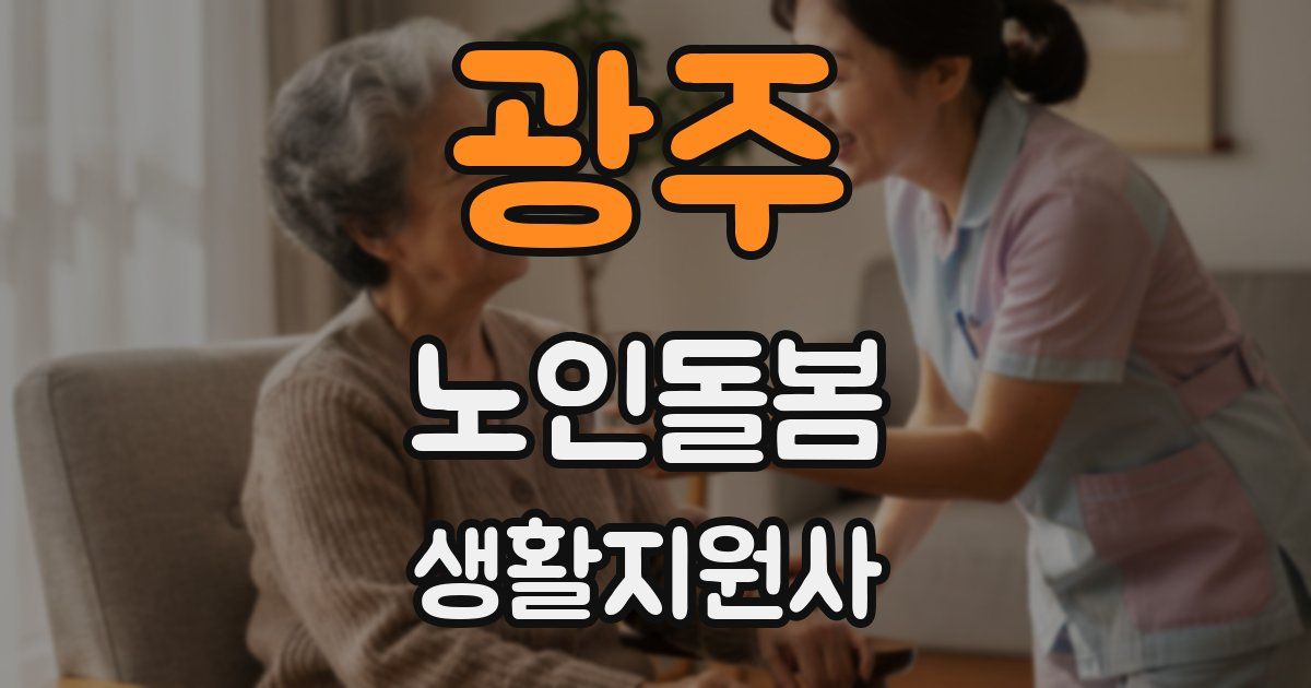 광주 노인돌봄생활지원사 자격증