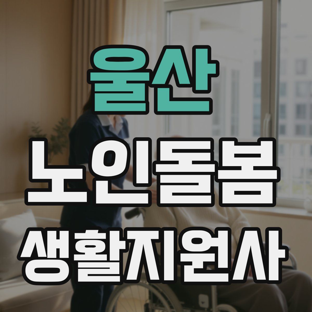 울산 노인돌봄생활지원사 자격증