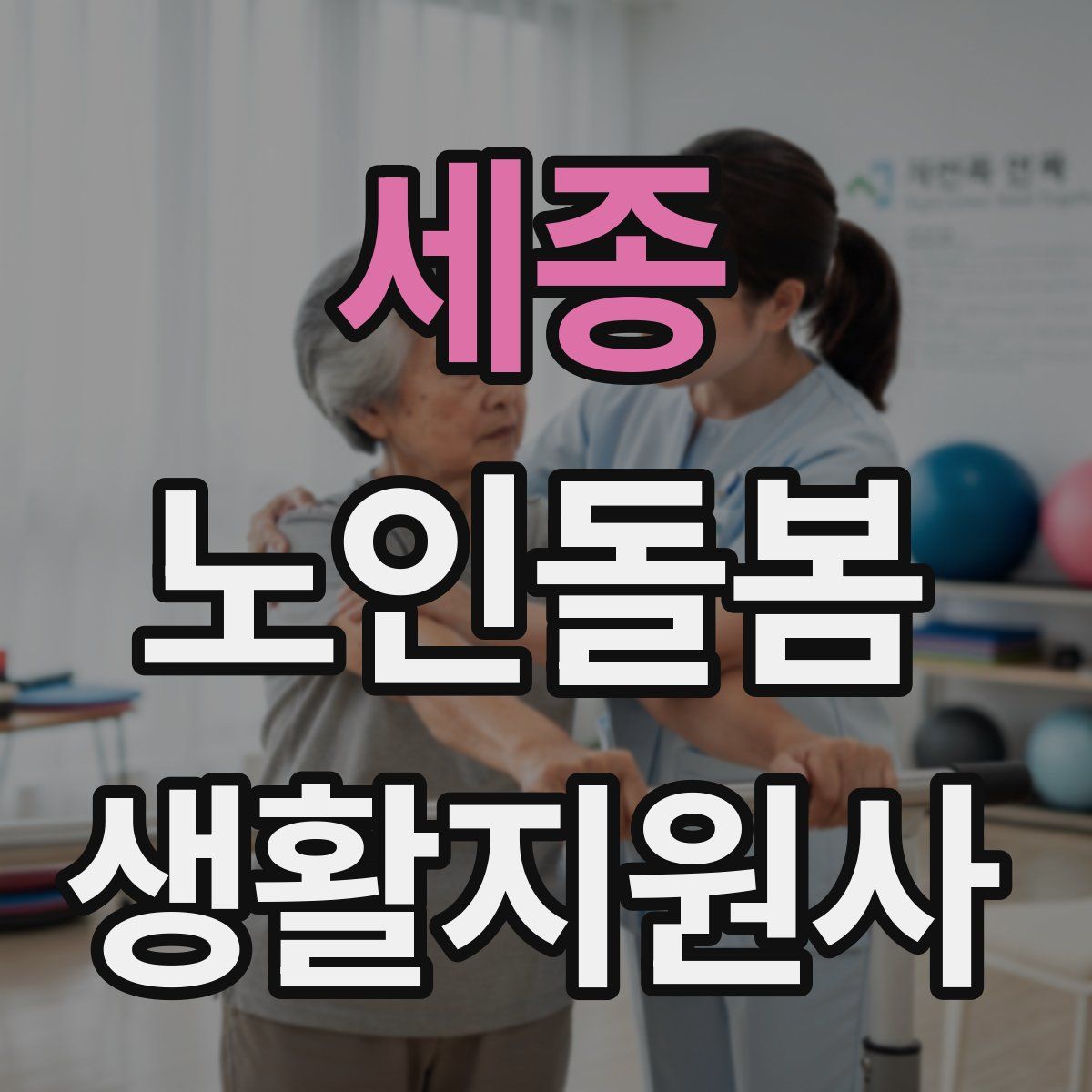 세종 노인돌봄생활지원사 자격증