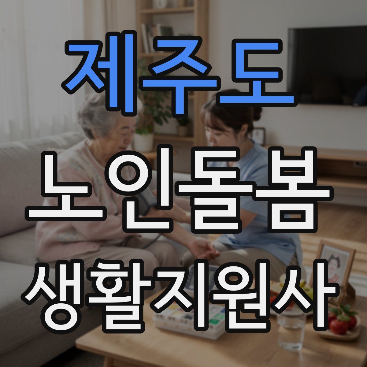 제주도 노인돌봄생활지원사 자격증