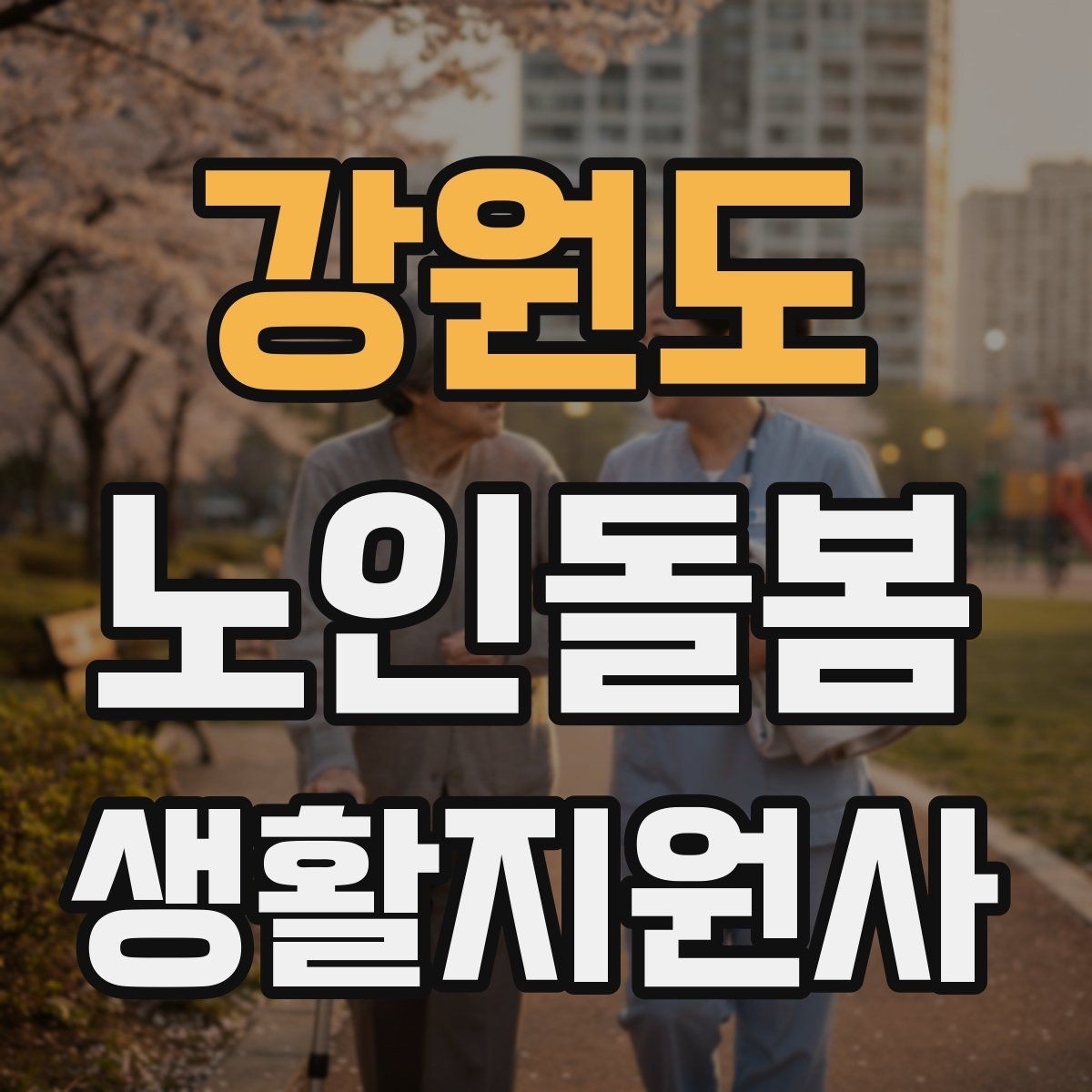 강원도 노인돌봄생활지원사 자격증 커리큘럼 비교할 때 보는 기준