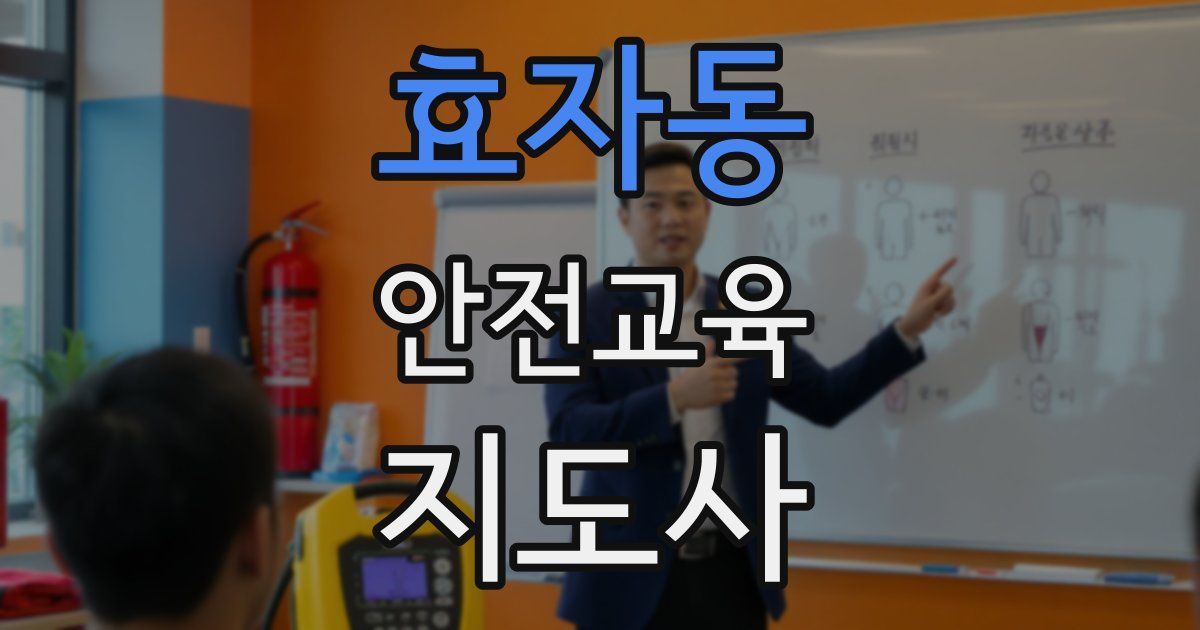 효자동 안전교육지도사 자격증
