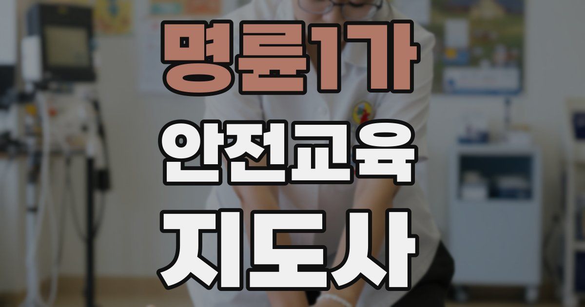 명륜1가 안전교육지도사 자격증