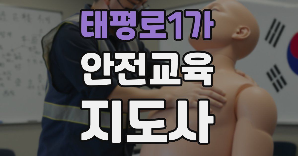 태평로1가 안전교육지도사 자격증