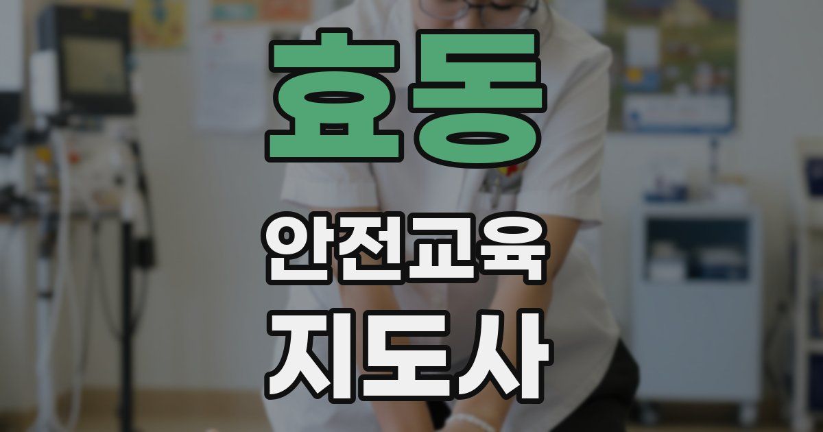 효동 안전교육지도사 자격증